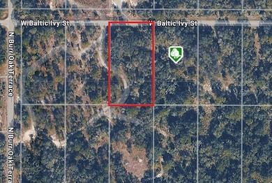 12538 W Baltic Ivy St, Crystal River, FL 34428 - photo 2