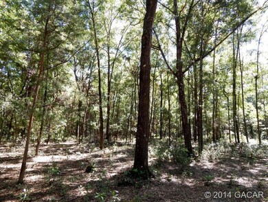 00 276th Terrace, Branford, FL 32008 - photo 6