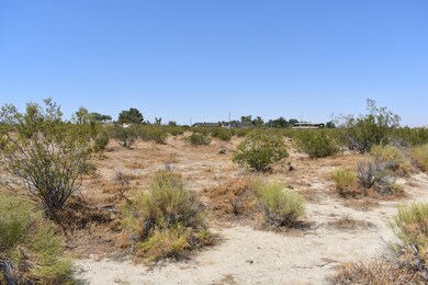 36261 166th St E, Palmdale, CA 93591 - photo 4