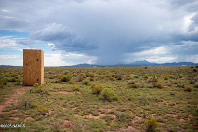 1591 S Laguna Dr, Williams, AZ 86046 - photo 7