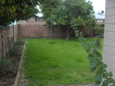 Side yard