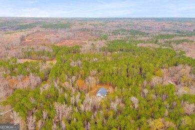 0 Broad River Rd unit 10650042, Carlton, GA 30627 - photo 6