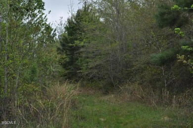 0 Interior Land Bayou La Croix unit 3354385, Bay Saint Louis, MS 39520 - photo 3