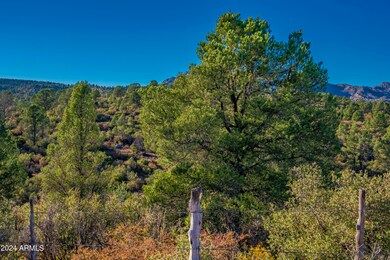 03 Blue Sky Drive -- unit C, Peeples Valley, AZ 86332 - photo 6