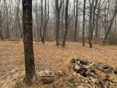 0 W Bangor Rd unit 590636, East Bangor, PA 18013 - photo 5