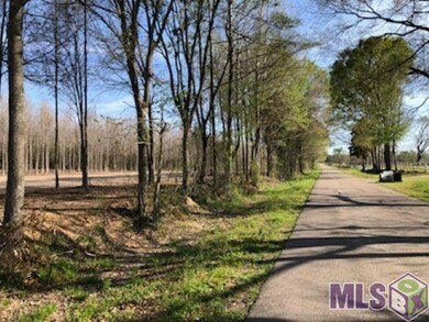 1711 Midway Rd, Slaughter, LA 70777 - photo 5