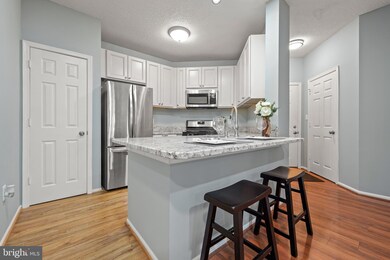 14322 Climbing Rose Way unit 102, Centreville, VA 20121 - photo 3