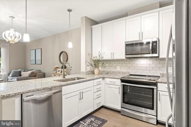 Enclave unit 308, Fairfax, VA 22031 - photo 2
