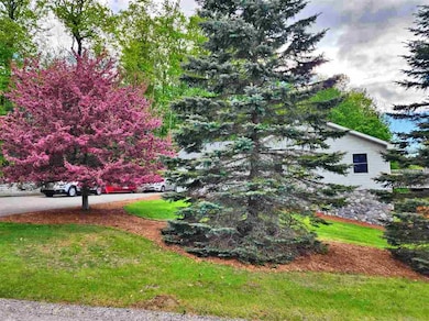 1110 Boyne Summit, Boyne City, MI 49712 - photo 6