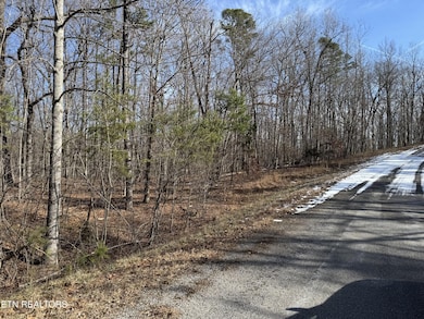 0 Belmont Cir unit RTC2928151, Monterey, TN 38574 - photo 5