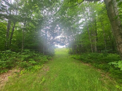 M31 L27,28 Magrath Rd, Unorganized Territory of Perkins, ME 04294 - photo 6