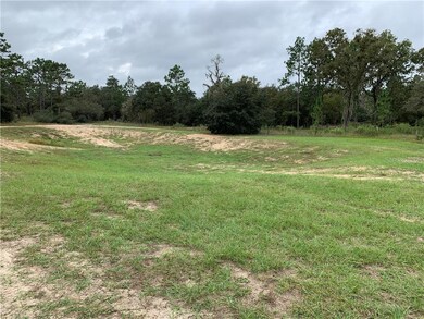 0 SW 209th Ave unit OM609696, Dunnellon, FL 34431 - photo 4