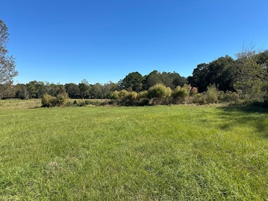 0 Highway 82, Sumner, GA 31789 - photo 2