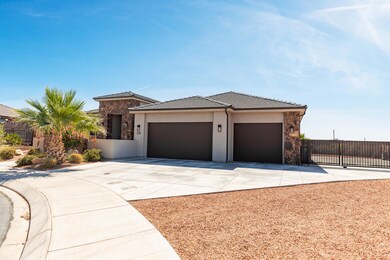 379 Chuckwalla-4