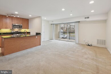 1136 Cove Rd unit 201, Annapolis, MD 21403 - photo 4