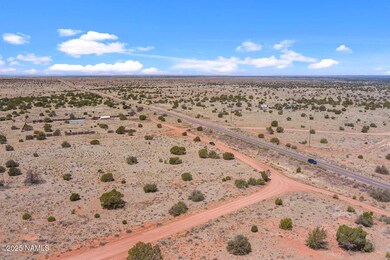 3202 S Canyon Vista Rd, Valle, AZ 86046 - photo 6