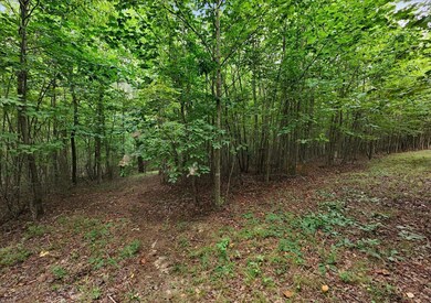 200 Whiskey Way, Jasper, TN 37374 - photo 6