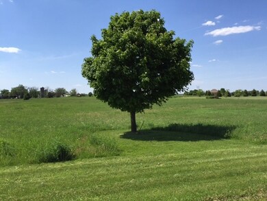 8709 Prairie Field Dr, Union, IL 60180 - photo 5