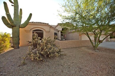 29446N67th06
