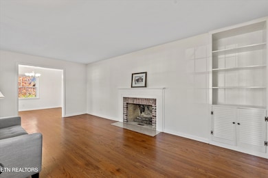 Fireplace with Built-ins