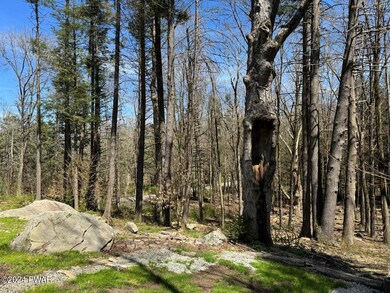 760 Carlton Rd, Tobyhanna, PA 18466 - photo 6