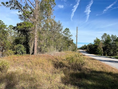 00 SW Breezy Point Dr, Dunnellon, FL 34431 - photo 3