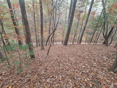 LT2909 Newton Ln, Ellijay, GA 30540 - photo 6