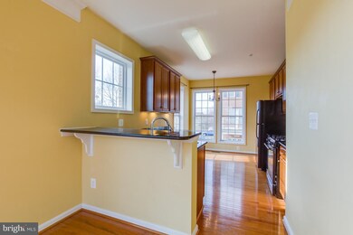 41948 Blue Flag Terrace, Stone Ridge, VA 20105 - photo 6