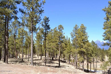 Looking South 192
