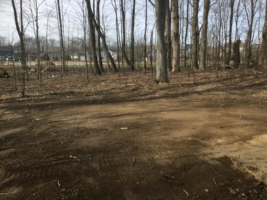 7885 Carlisle Ct, Byron Center, MI 49315 - photo 3