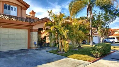 Front Yard Palms