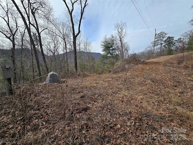 425 Crocus Ln, Dillsboro, NC 28779 - photo 2