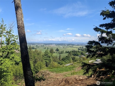 4135 Kamphouse Dr, Sumas, WA 98295 - photo 6