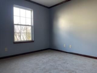 1005 Wild Ivy Trail, Franklin, IN 46131 - photo 7