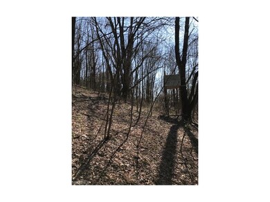 DEER STAND INCLUDED!