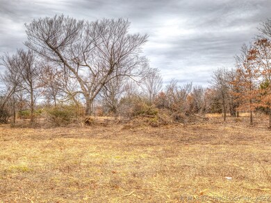3001 W 91st St N, Sperry, OK 74073 - photo 4