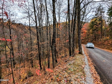 2313 Grey Fox Run, Sevierville, TN 37862 - photo 3