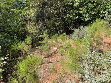 0 Forbestown Rd unit 225150530, Challenge, CA 95925 - photo 3