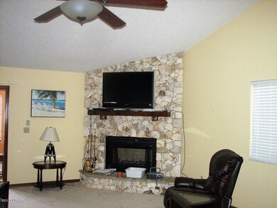 Living room fireplace