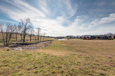 1261 Marketplace Crossing, Nixa, MO 65714 - photo 2