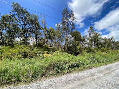 0 Makoa Rd unit 726211, Volcano, HI 96785 - photo 6