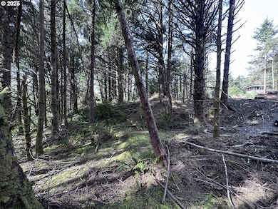 0 Greenleaf Rd, Arch Cape, OR 97102 - photo 5