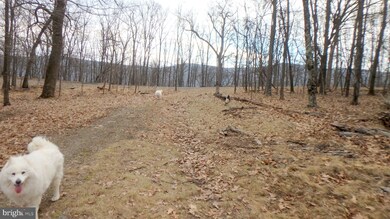 Lot 202 Hampshire Ridge Rd, Romney, WV 26755 - photo 4