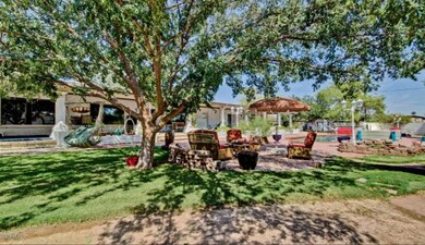 backyard 2