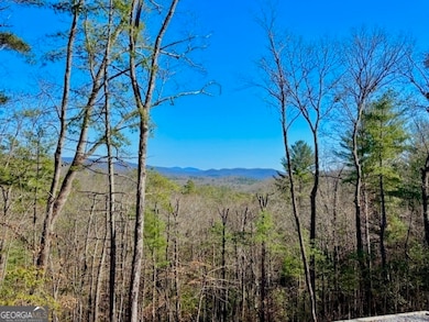 0 Bill Claypool Dr unit LOT 28 10463111, Blue Ridge, GA 30513 - photo 3