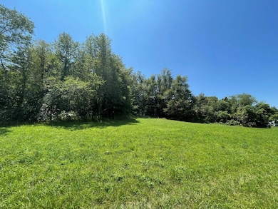 529 Parsonage Ave, Rural Retreat, VA 24368 - photo 5