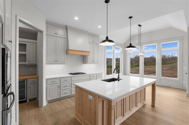 22003 W 80th Terrace, Shawnee, KS 66220 - photo 6