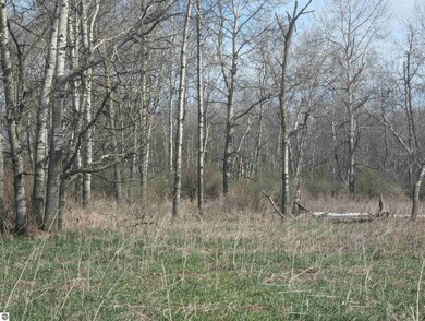 N/A Turner Rd, Tawas City, MI 48763 - photo 3