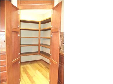 Huge walk-in pantry