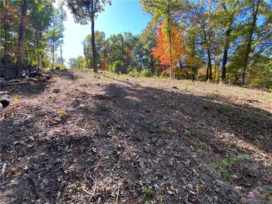 22 Carew Dr, Bella Vista, AR 72714 - photo 2